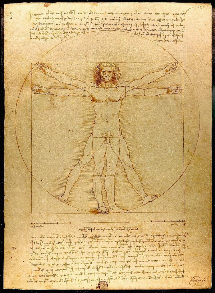 Vitruvian Man by Leonardo da Vinci, Credit: Luc Viatour / https://Lucnix.be