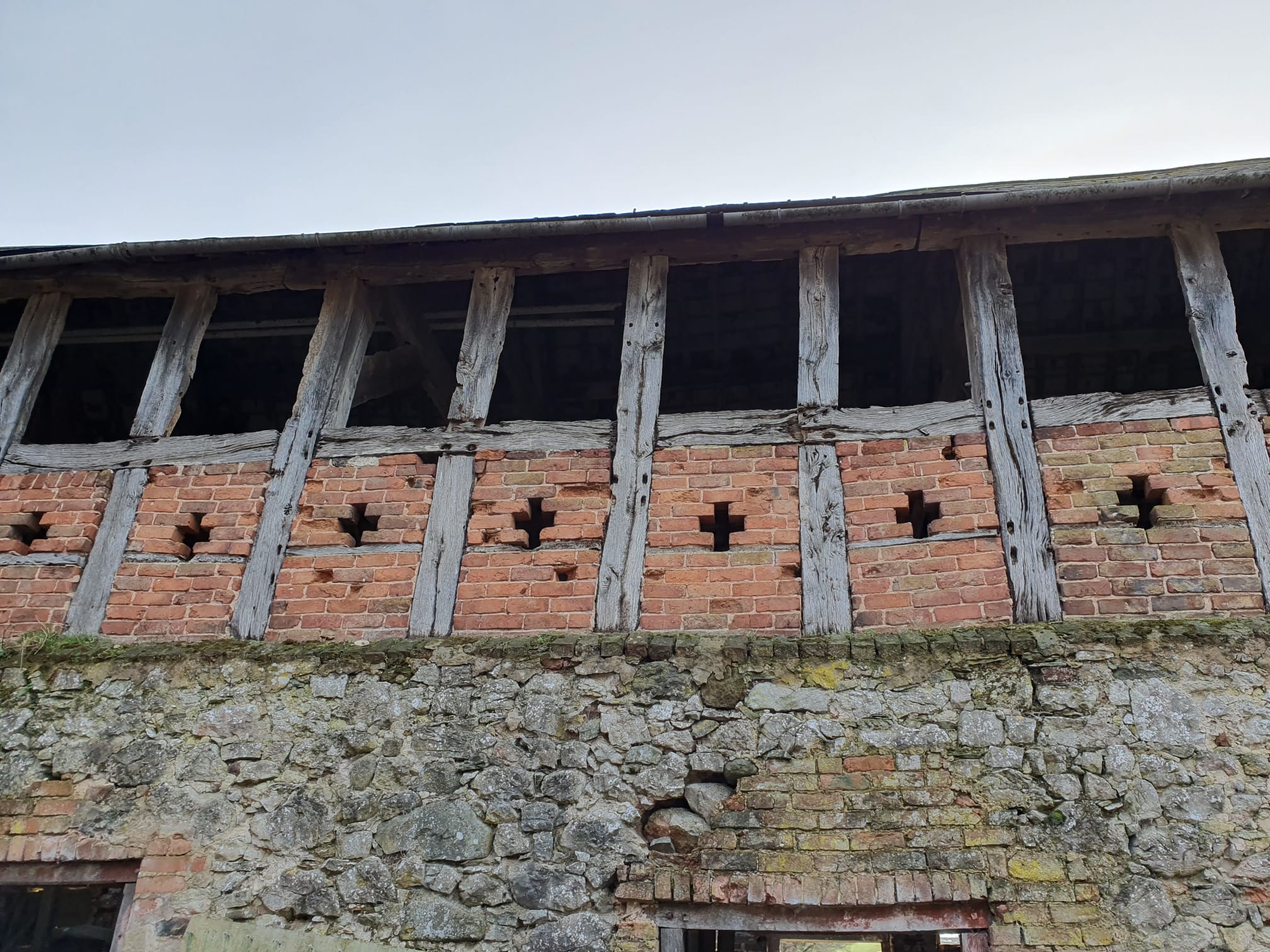 A Historic First in Living Memory: Bach-y-graig Visits Soulton Hall