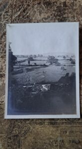 A black and white victorian image of the lost Easter Avenue at Soulton Hall. It is a replanting so many of the ress are young, a couple of old ones remain
