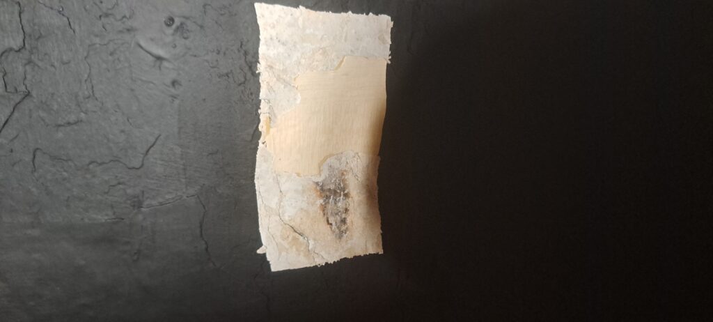 Another candle mark scuffs tgehe C16th plaster of a wall in the Matthew Parker Room. Could this be where the Archbishop himself labored?