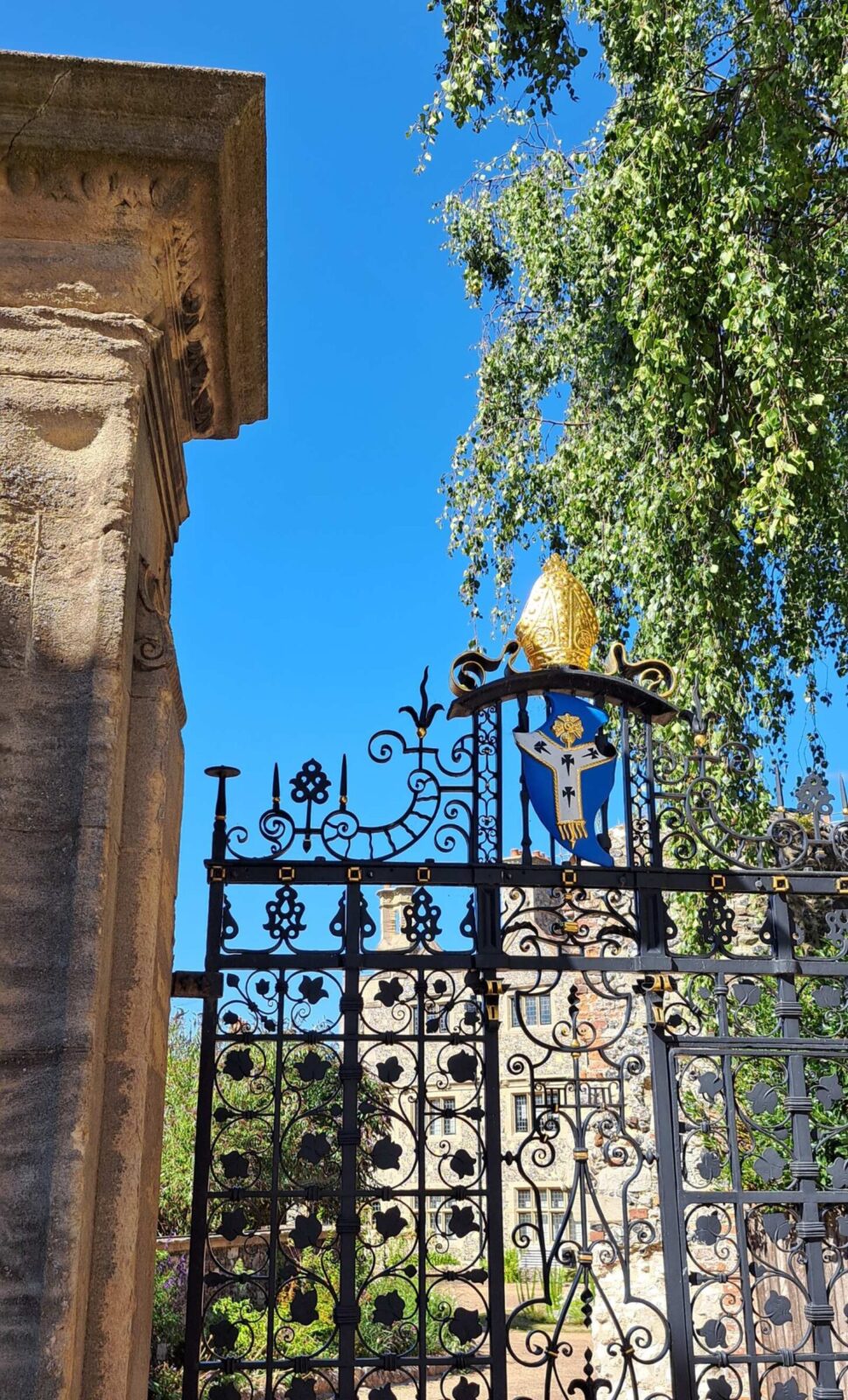 Deep Roots and New Beginnings: Sending Good Wishes to the New Archbishop