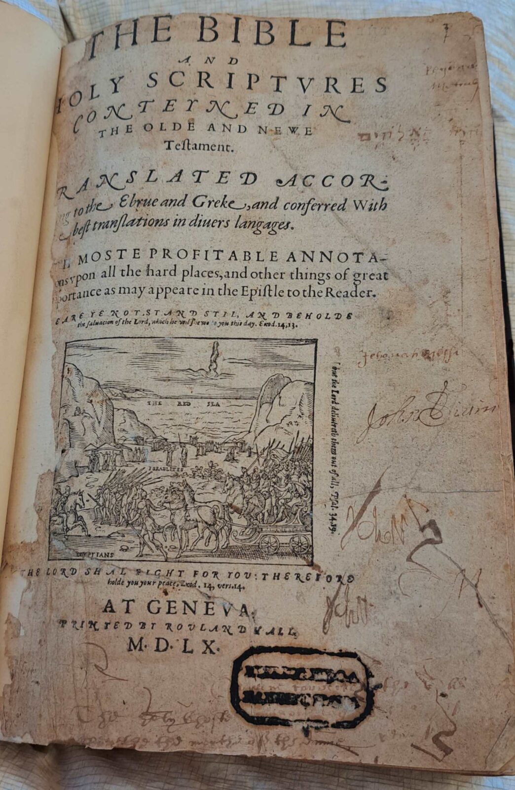 Sir Rowland and the Geneva Bible: A Scriptural Spark