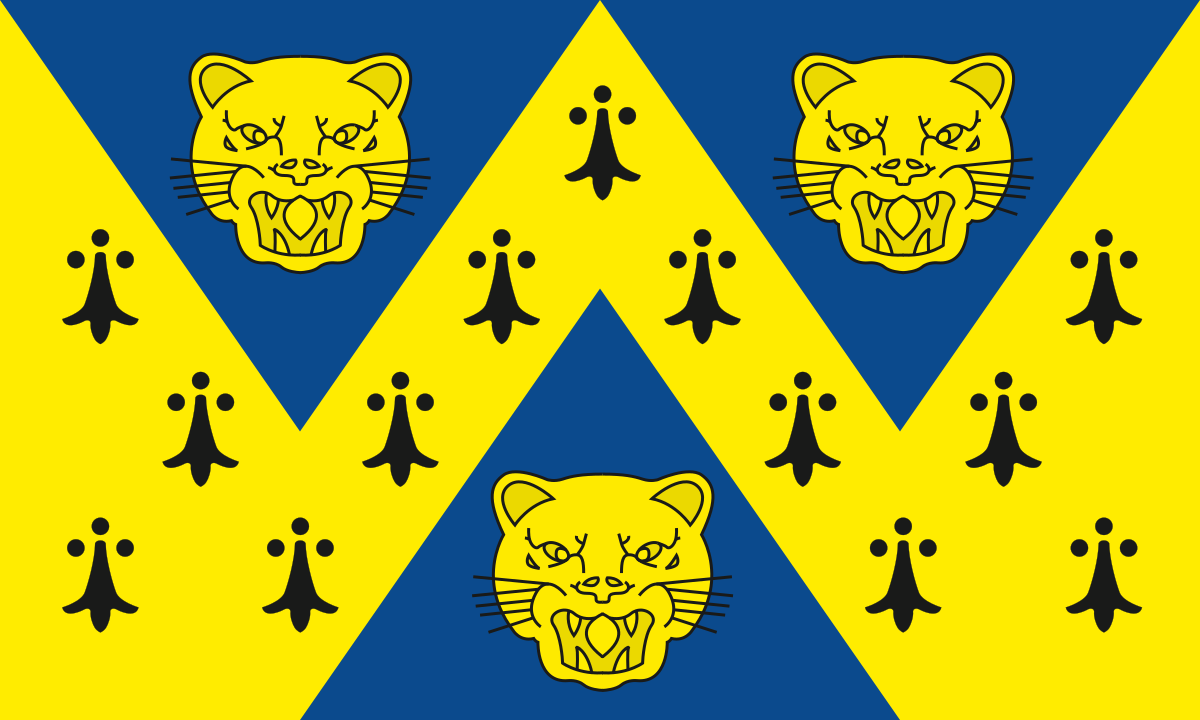 A blue and yellow flag
