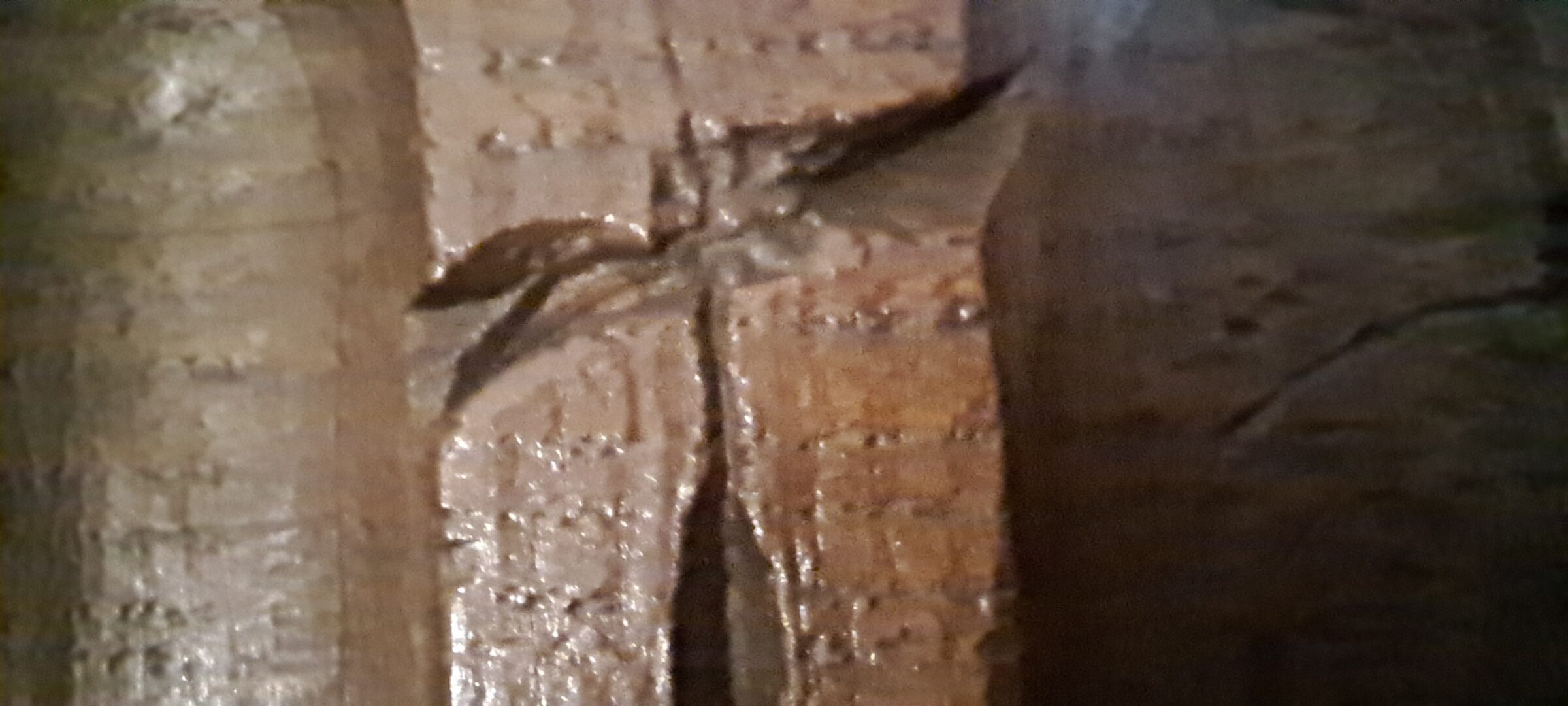 An example of a tiny eight pointed star or flower in the Sir Rowland Hill panneling