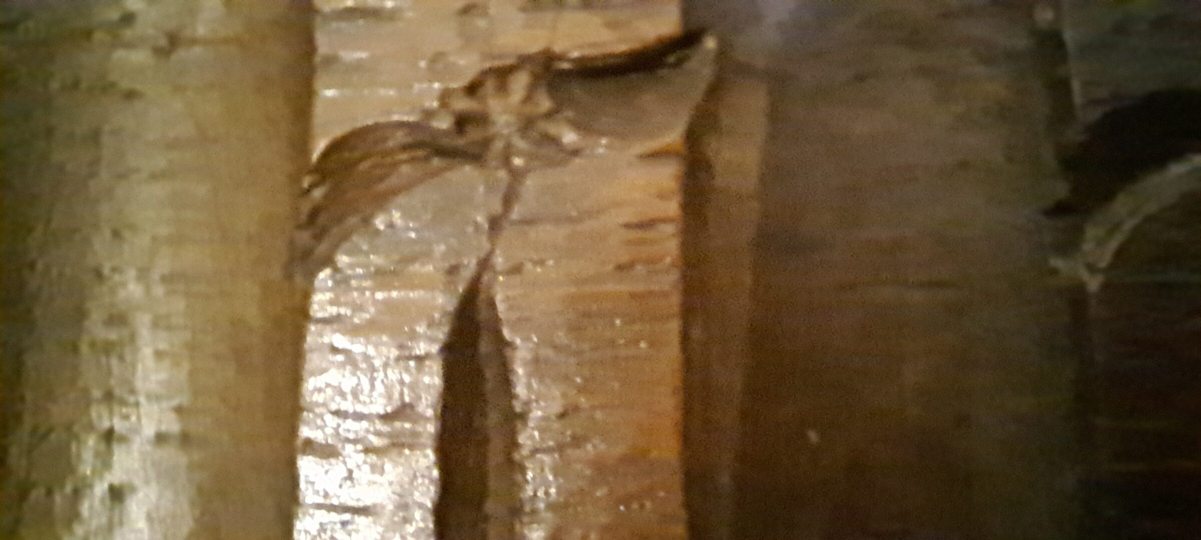 An example of the tiny eight pointed stars (or flowers) in the Sir Rowland Hill panneling