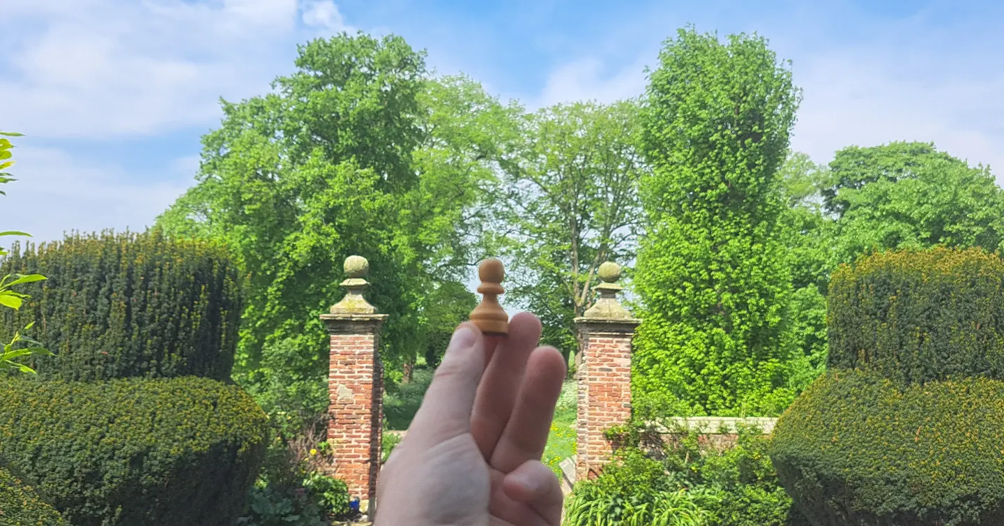 Chess Court