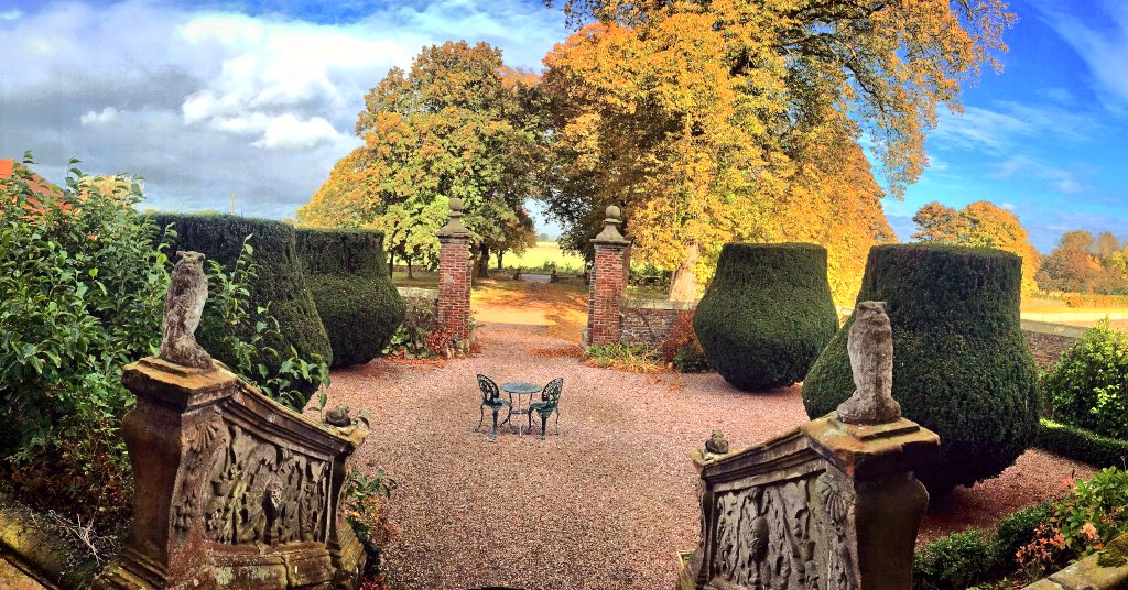 Soulton Autumn: A Reflection in the Season of Jaques