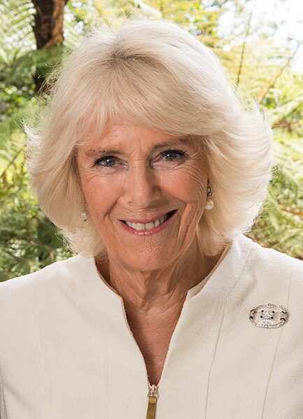 Shropshire Royal Visit