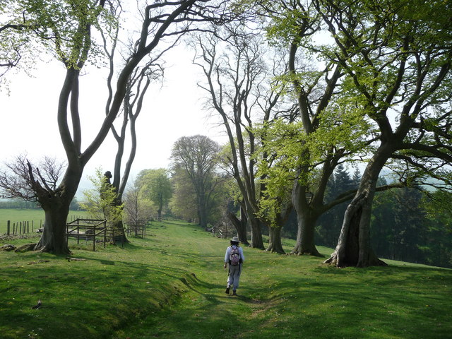 Public Statement to Wem Rural Parish Council: Soulton Hall Research