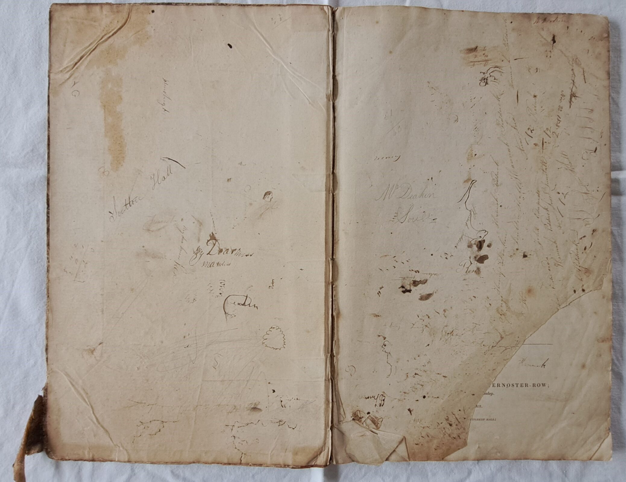 Fly leaves of the 1830s Soulton Hall accounts books, showing more early Victorian graffiti