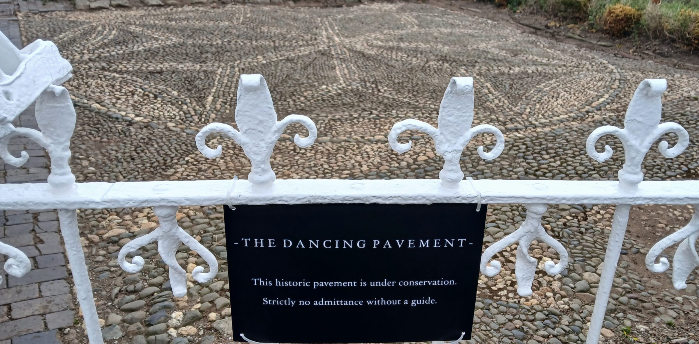 From Parchment to Performance: Sharing the AS YOU LIKE IT Dance