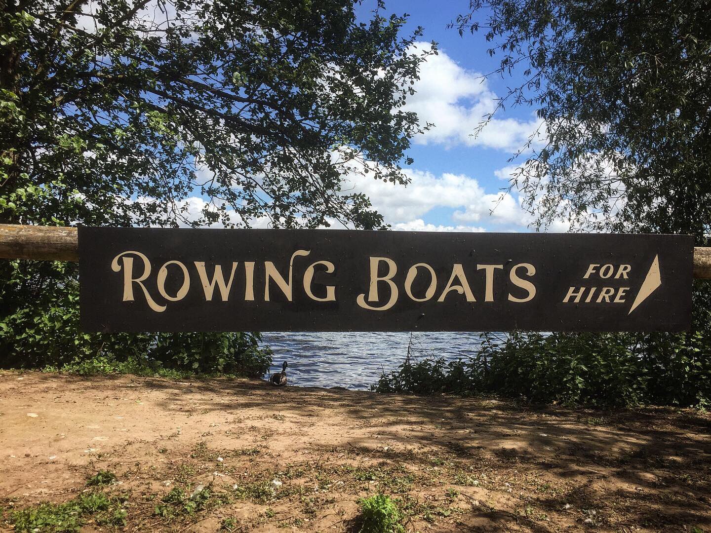 Ellesmere’s Mere: Row Your Way to Relaxation