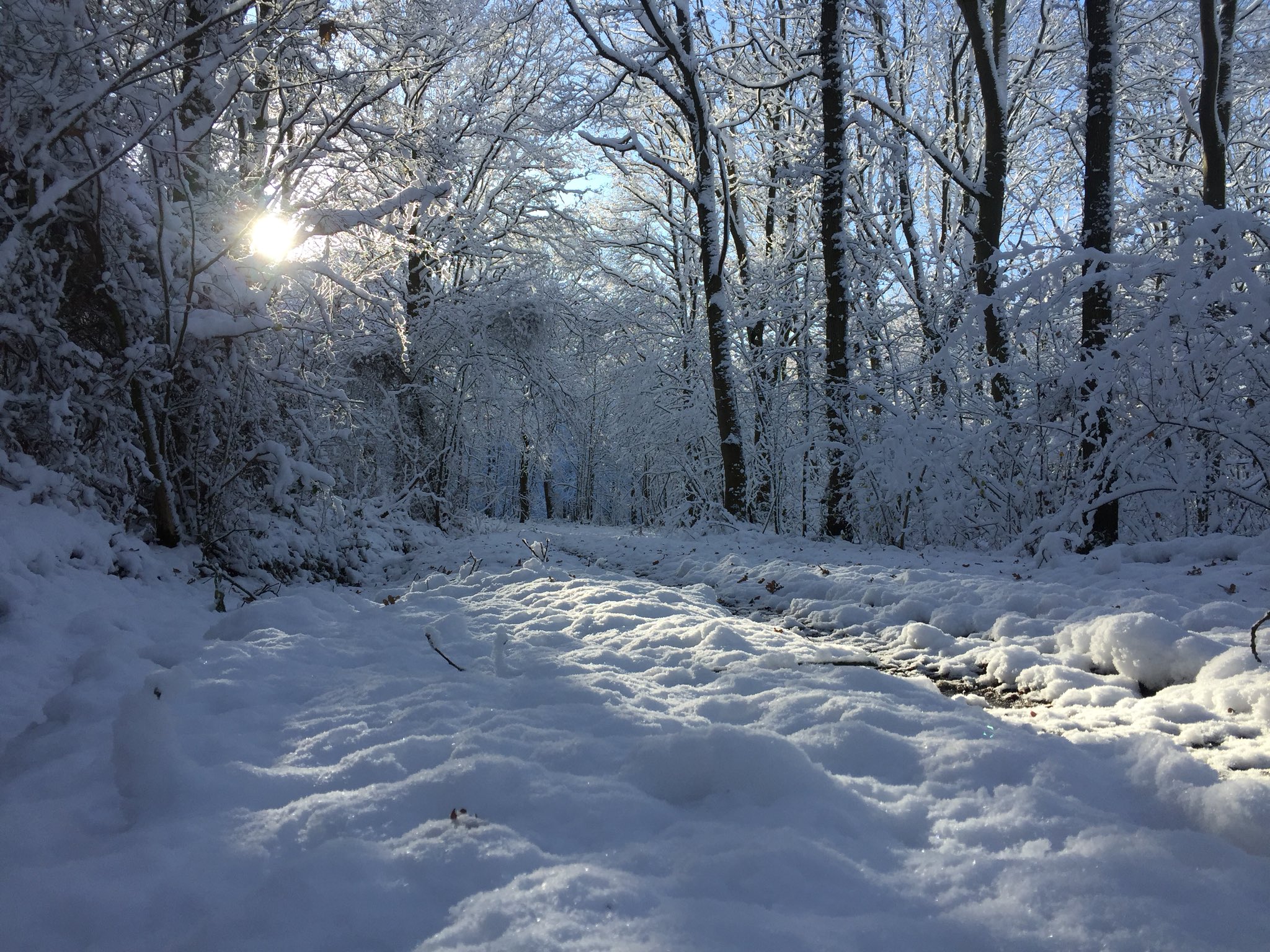 “Here shall he see No enemy | But winter and rough weather.”
