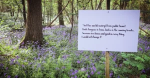 Shakespeare Quote on a sign in the AS YOU LIKE IT wood at Soulton: And this our life exempt from public haunt Finds tongues in trees, books in the running brooks, Sermons in stones and good in every thing. I would not change it.