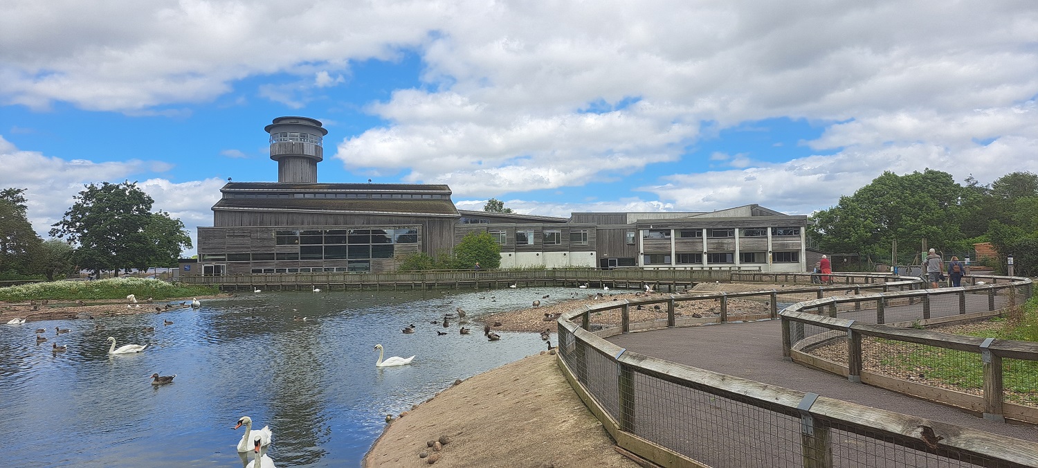 Slimbridge: A Wetland Wonderland