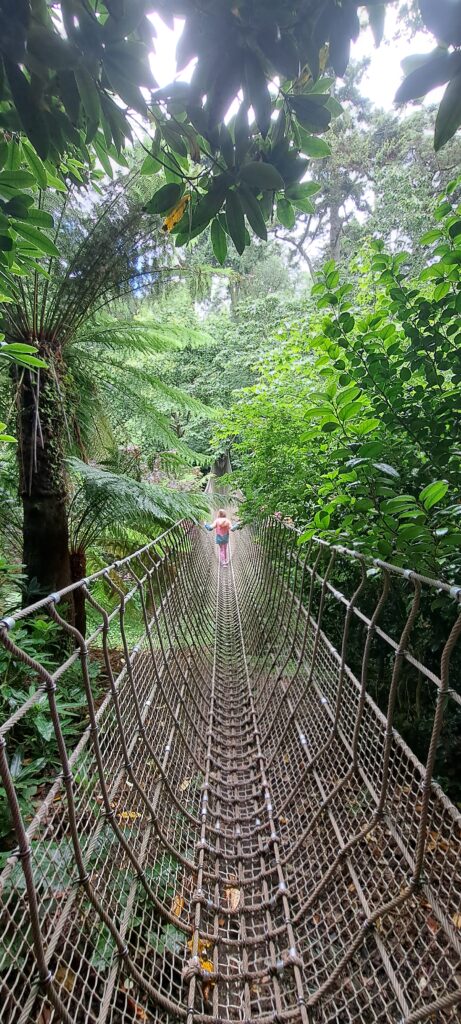 The Burmese Rope Bridge in the Lost Gardens of Heligan