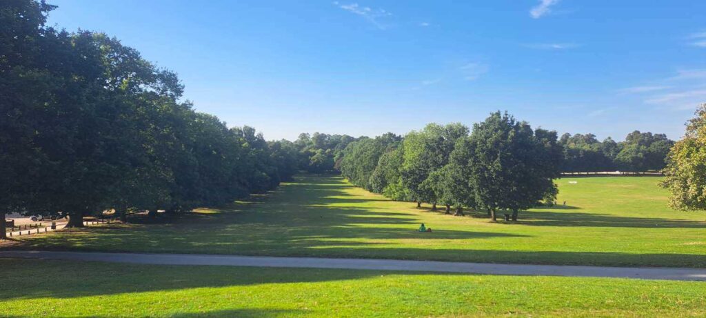 One of the avenues leading to Wollaton Hall