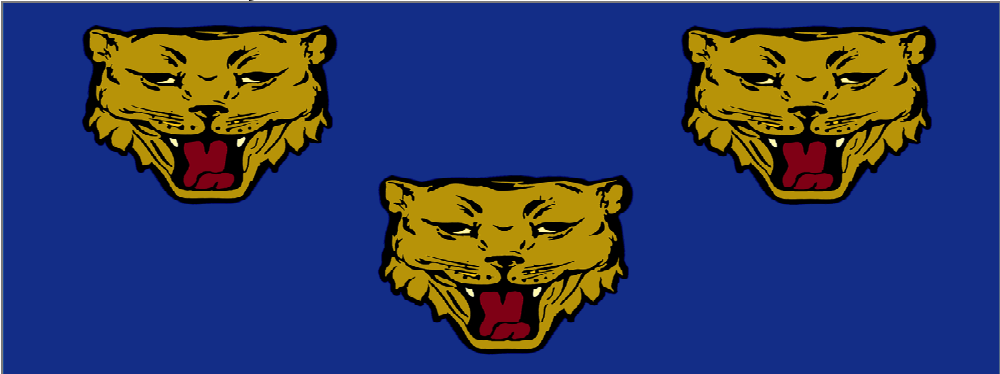 Flag of Shrewsbury