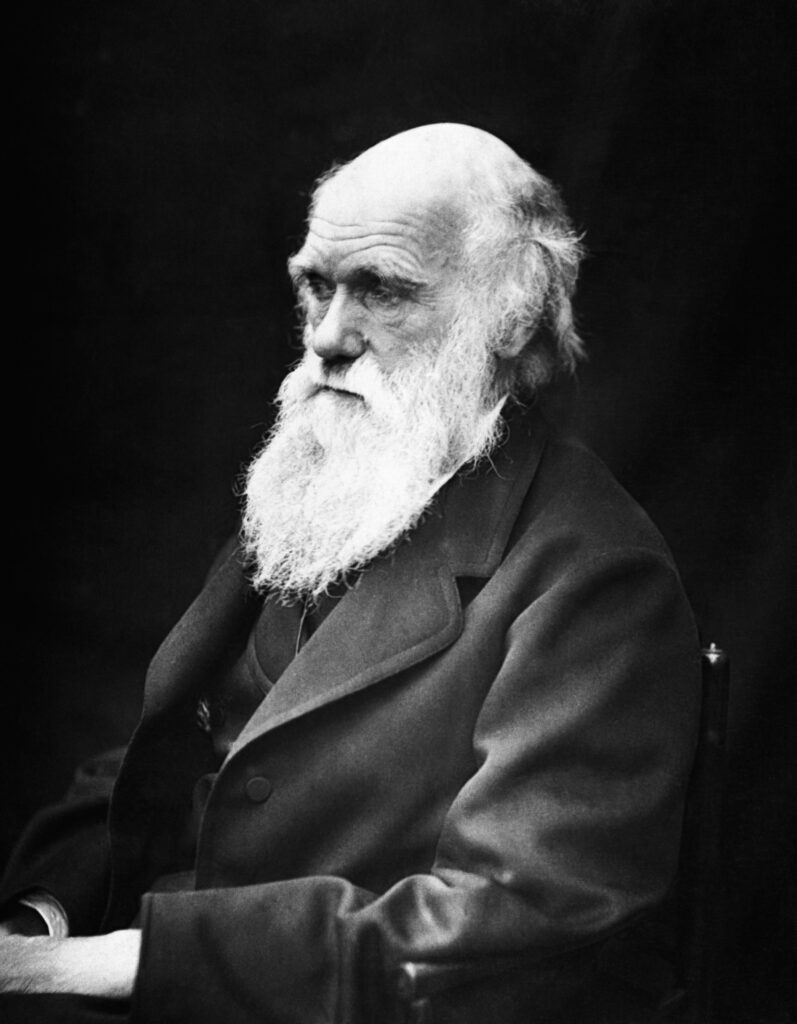 Charles Darwin - Salopian