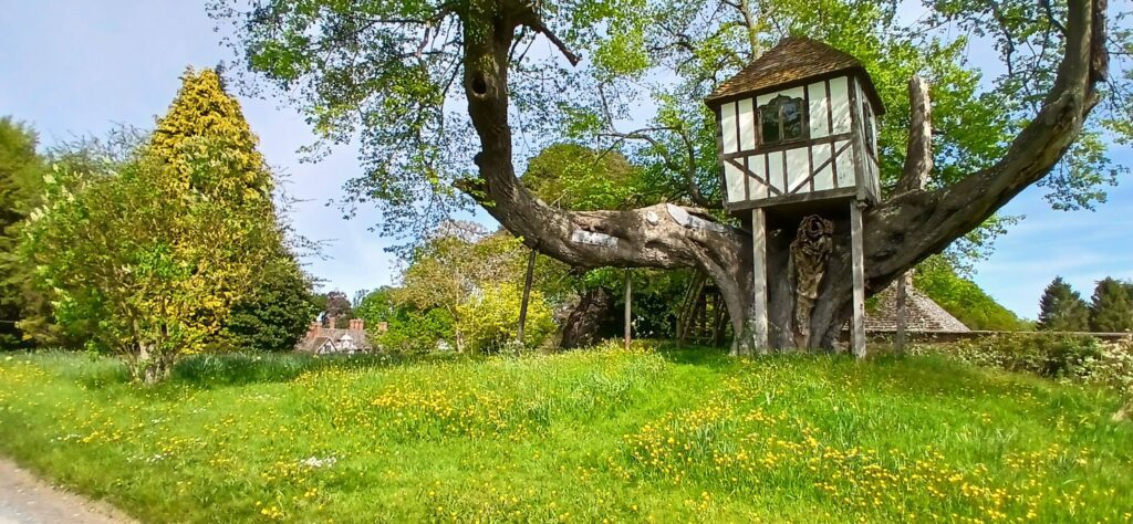 The wonderful Pitchford Hall Tree House - ancient and magical