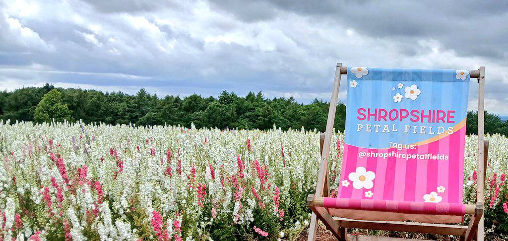 Shropshire Petal Fields Event