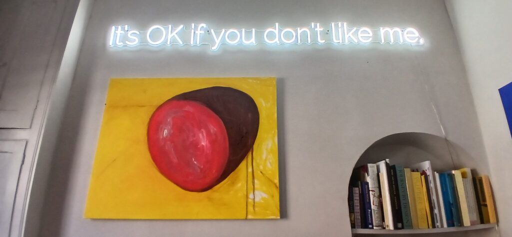 ITS OK IF YOU DONT LIKE ME - artwoark by Sam Pooley Stride