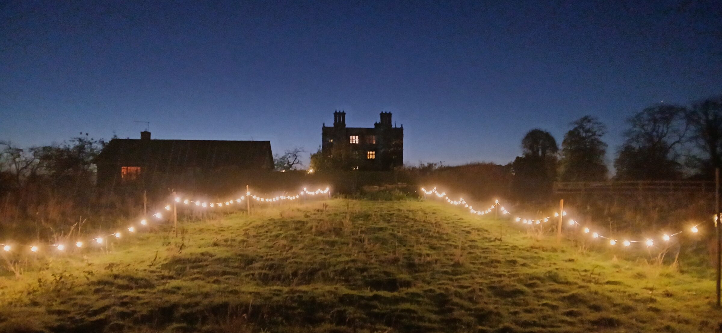 Festive Postcard: Remembering Our Lost Tudor Elms