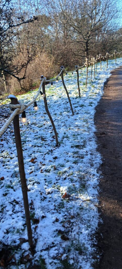 Cheerful festone lighting -- a lvely touch in the gardens