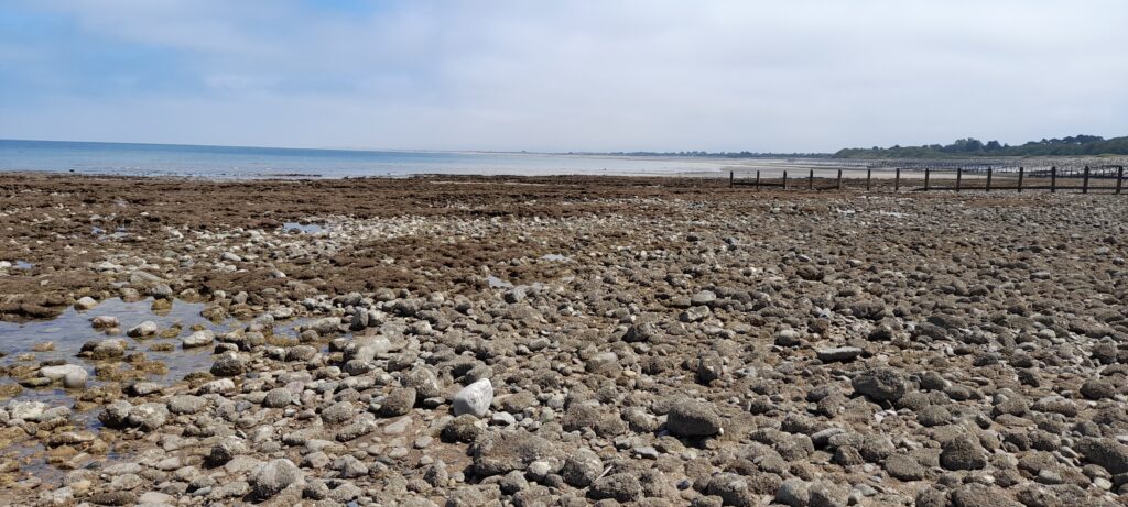 Gwrych Castle beach: the historic spot where Richard II landed, later immortalized by Shakespeare with achingly beautiful, yet deeply sorrowful lines.